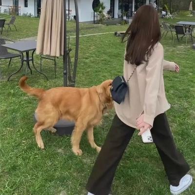 汉妮与南妮
